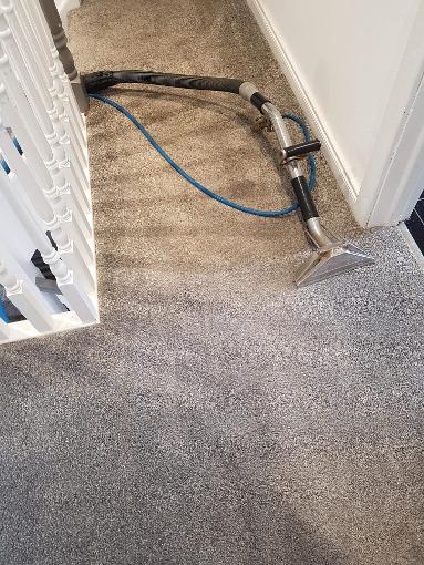 carpet cleaners Newtownabbey